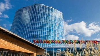 马德里商标注册