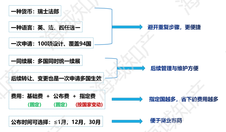 海牙外观设计优势